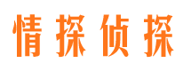 山海关市婚外情调查